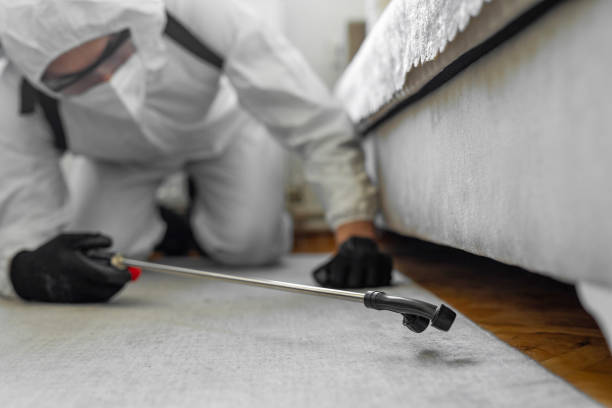 Professional Ant Control technician working in West End, NY